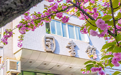 2025年强基计划招生简章