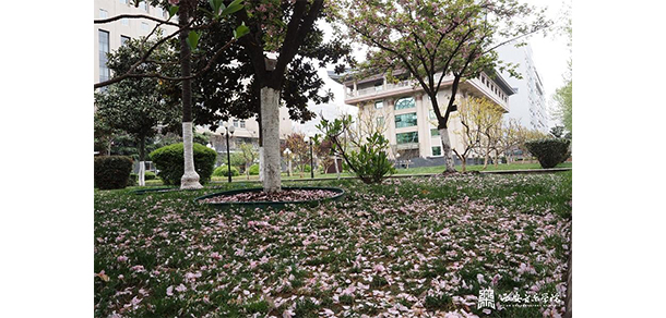 西安音乐学院 - 最美大学