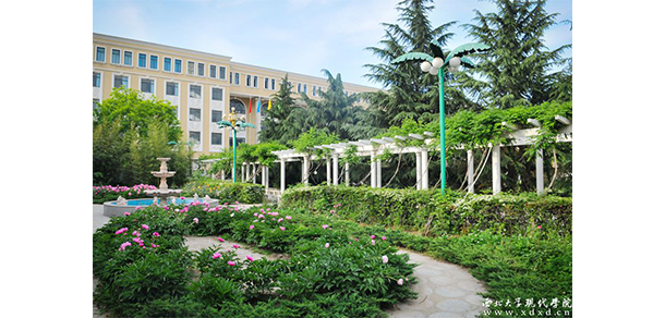 西北大学现代学院 - 最美大学