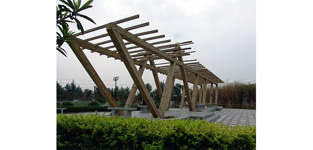 陕西工业职业技术大学 - 最美大学