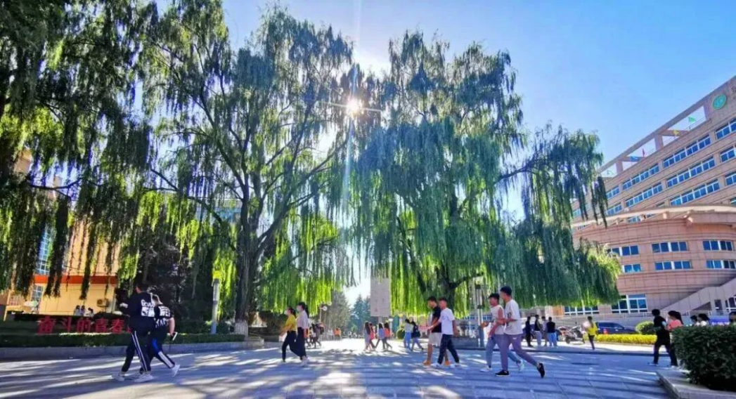 校园环境