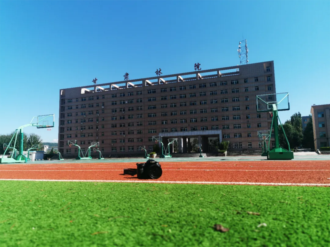 教学楼