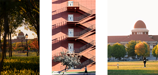 南开大学 - 最美大学