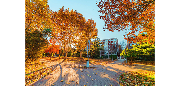 天津商业大学 - 最美大学