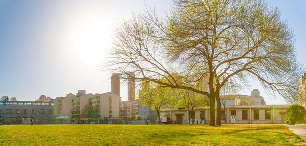 天津美术学院