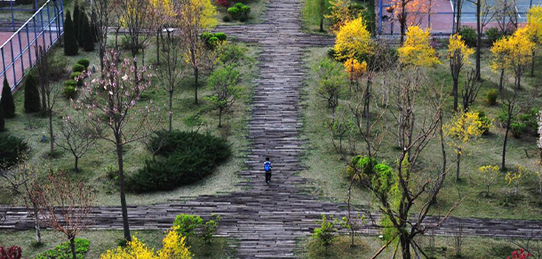 天津美术学院 - 最美大学