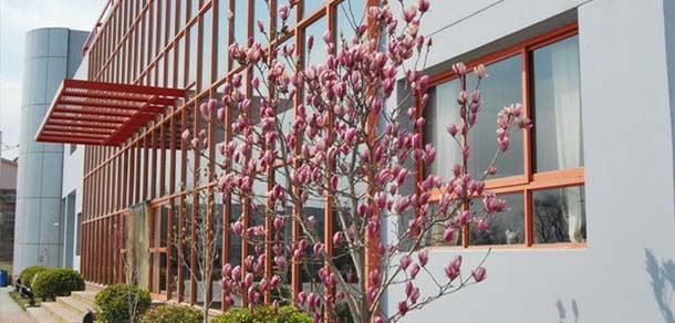 天津商业大学宝德学院 - 最美院校