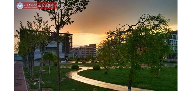 天津医科大学临床医学院 - 最美大学