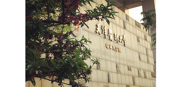 天津医科大学临床医学院 - 最美大学