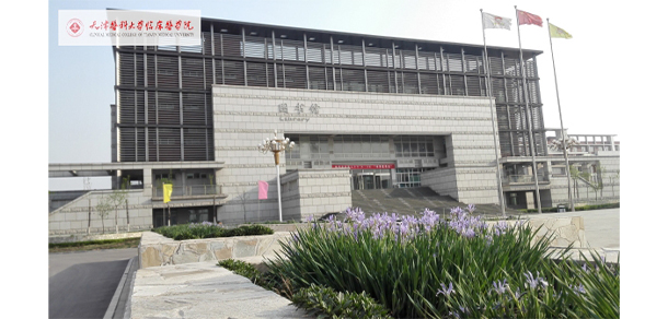 天津医科大学临床医学院 - 最美大学