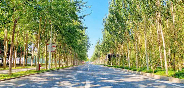 天津理工大学中环信息学院 - 最美大学