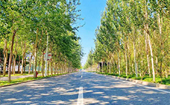 天津理工大学中环信息学院 - 我的大学