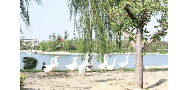 天津警察学院 - 最美大学