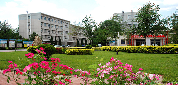 天津工艺美术职业学院 - 最美大学
