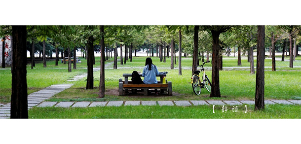 宁夏师范大学