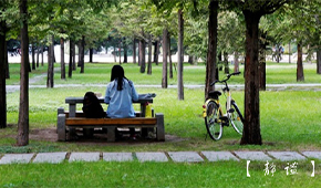 宁夏师范学院