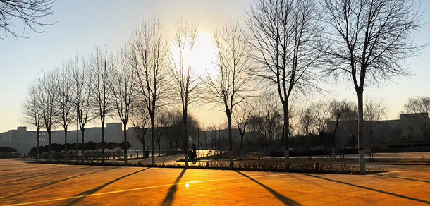 宁夏职业技术大学 - 最美大学