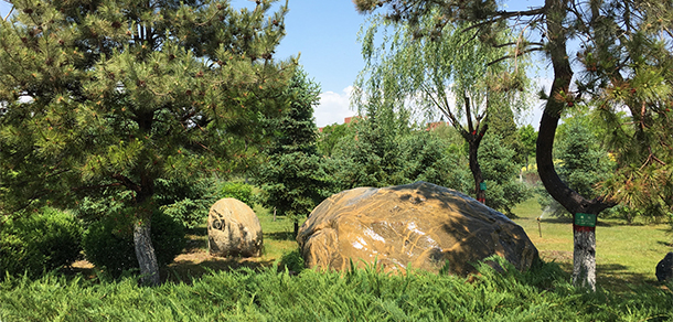 宁夏职业技术大学 - 最美大学