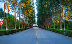 宁夏财经职业技术学院
