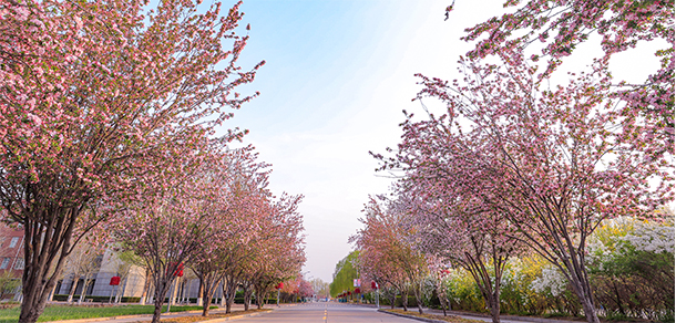 燕京理工学院