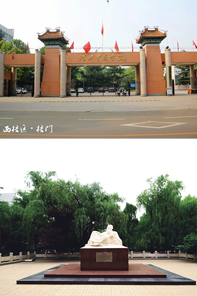 河北中医学院