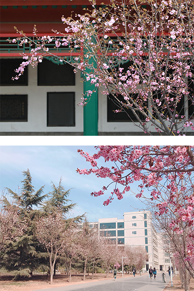 河北农业大学