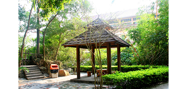 河北艺术职业学院 - 最美大学