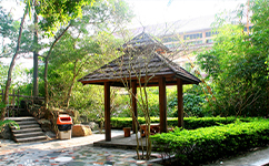 河北艺术职业学院