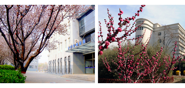 石家庄理工职业学院 - 最美大学