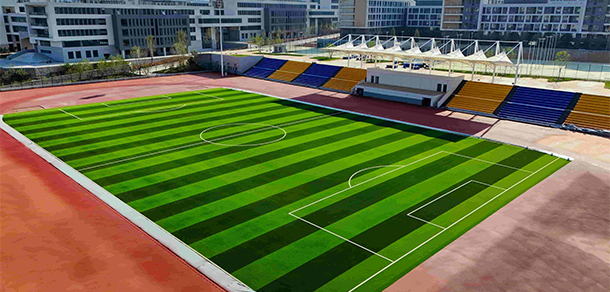 石家庄金融职业学院 - 最美大学