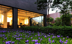 山西传媒学院