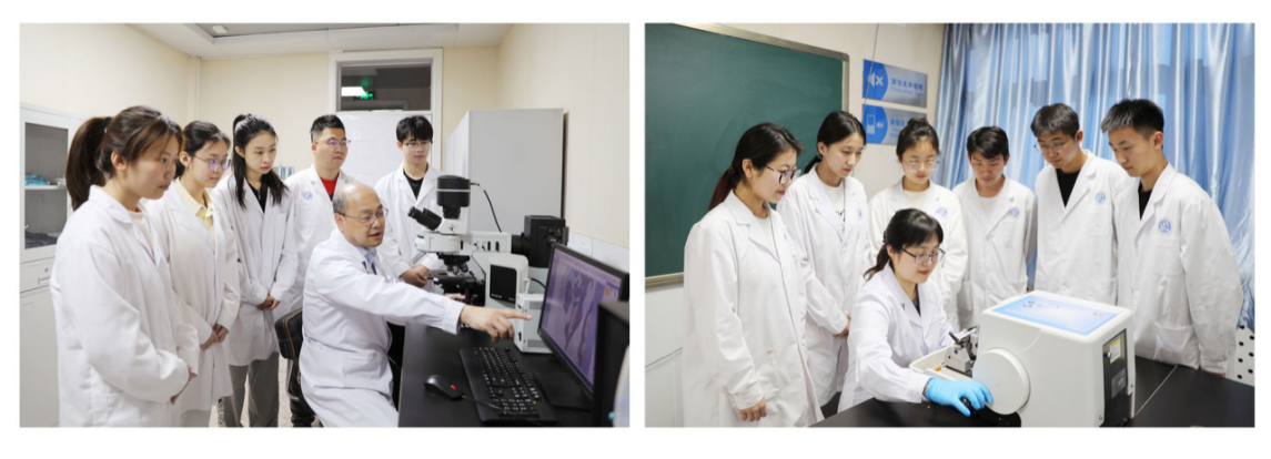 医学实验技术
