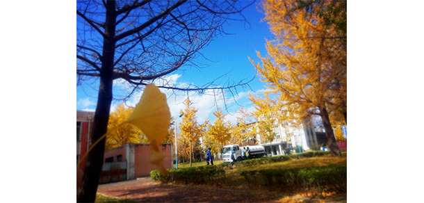 大连理工大学