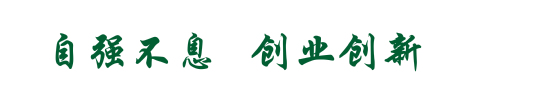 沈师精神
