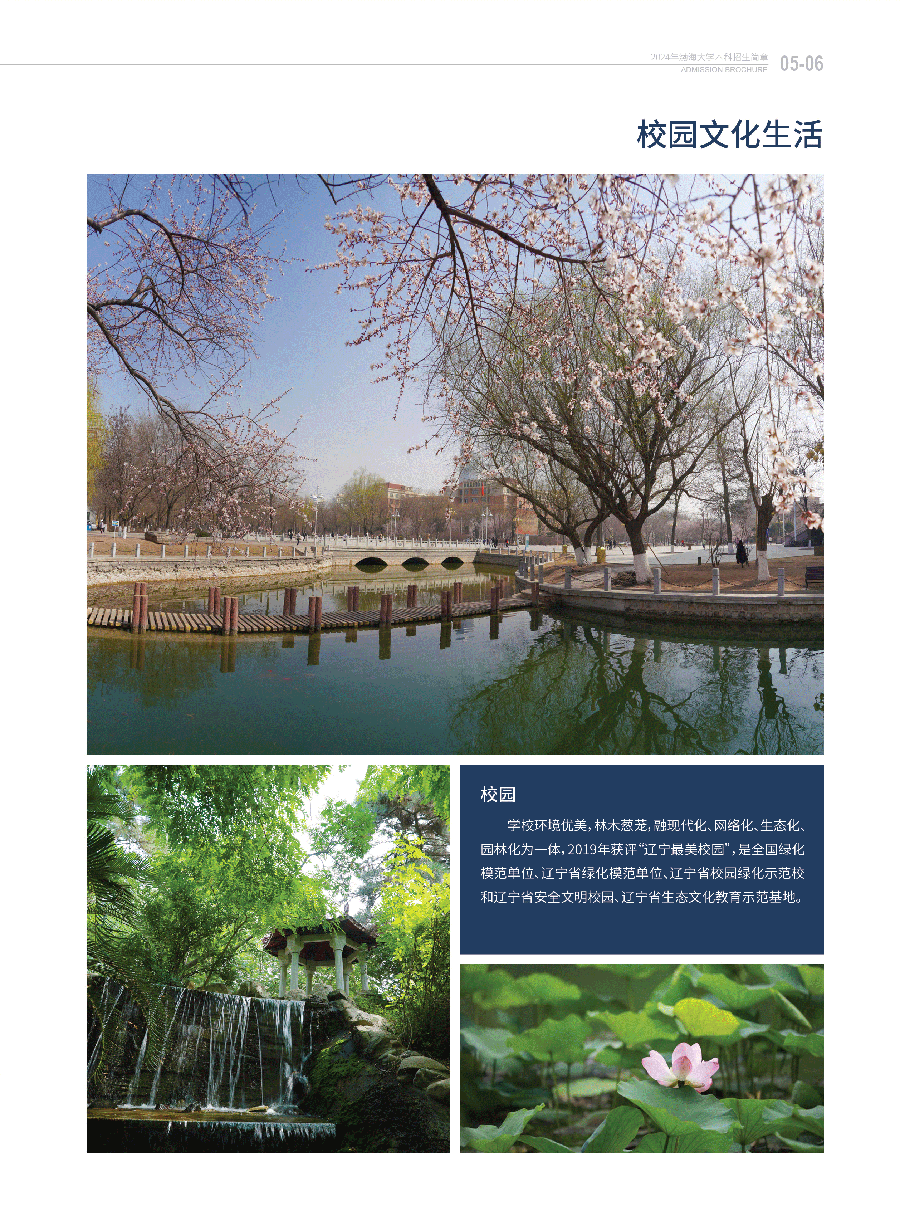 渤海大学－2024年招生简章