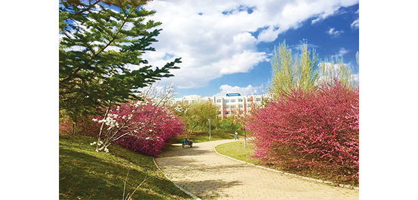 沈阳工程学院 - 最美大学