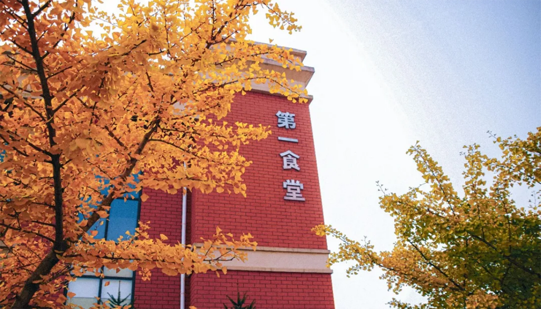 大连工业大学艺术与信息工程学院2025年招生章程