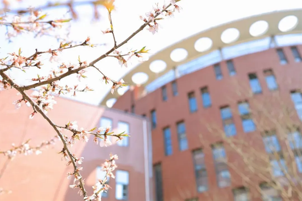 大连科技学院
