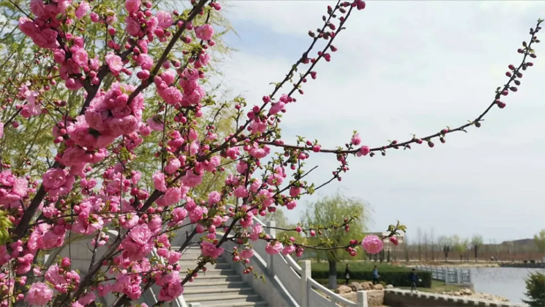 辽宁师范大学海华学院