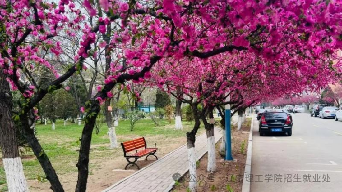 辽宁理工学院－春分启新程，高考志凌云（2025）