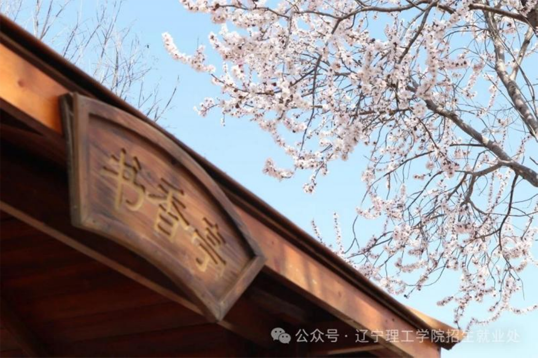 辽宁理工学院－春分启新程，高考志凌云（2025）