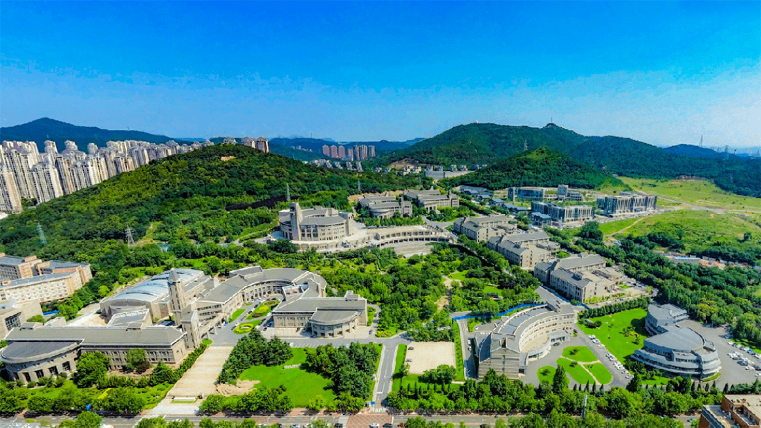 大连东软信息学院2025年分省分专业招生计划