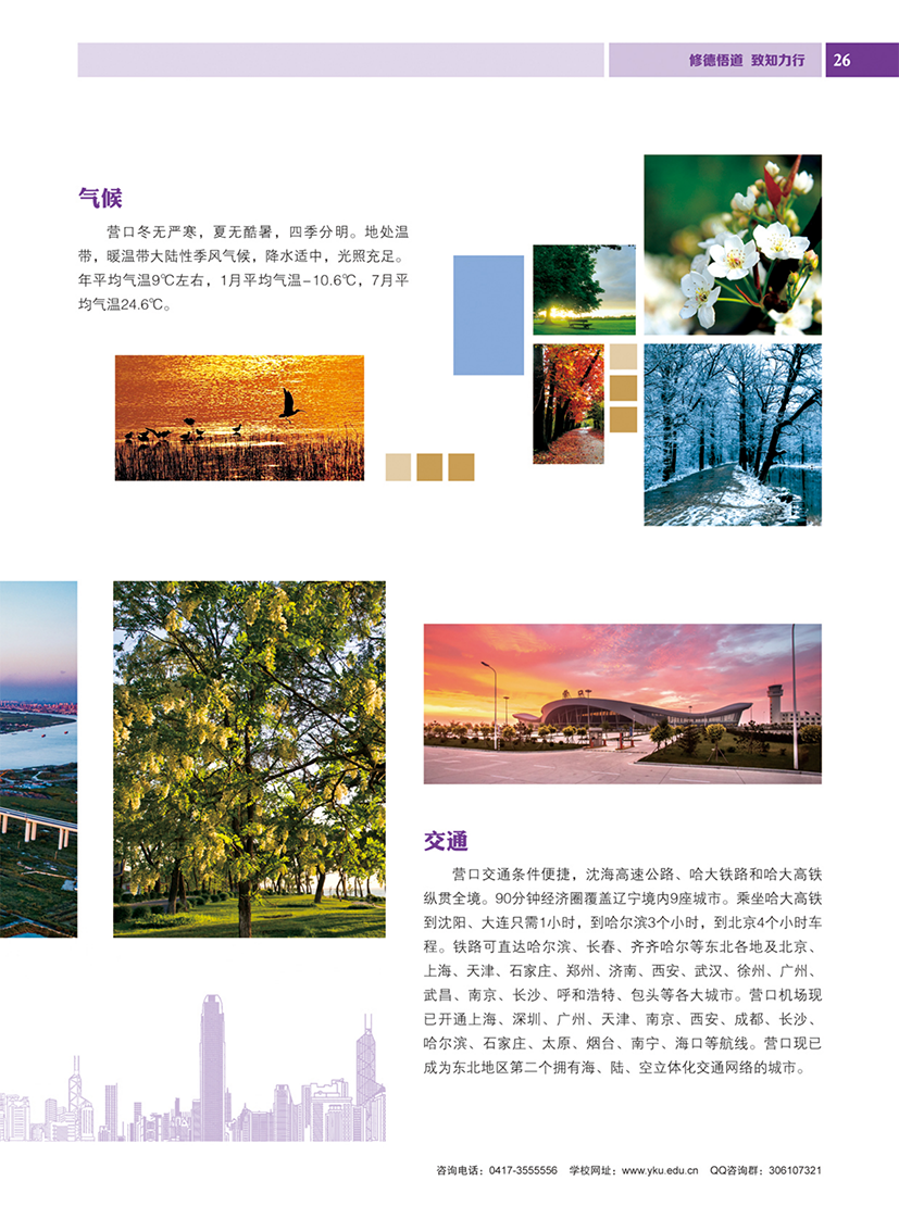 营口理工学院2024年招生简章