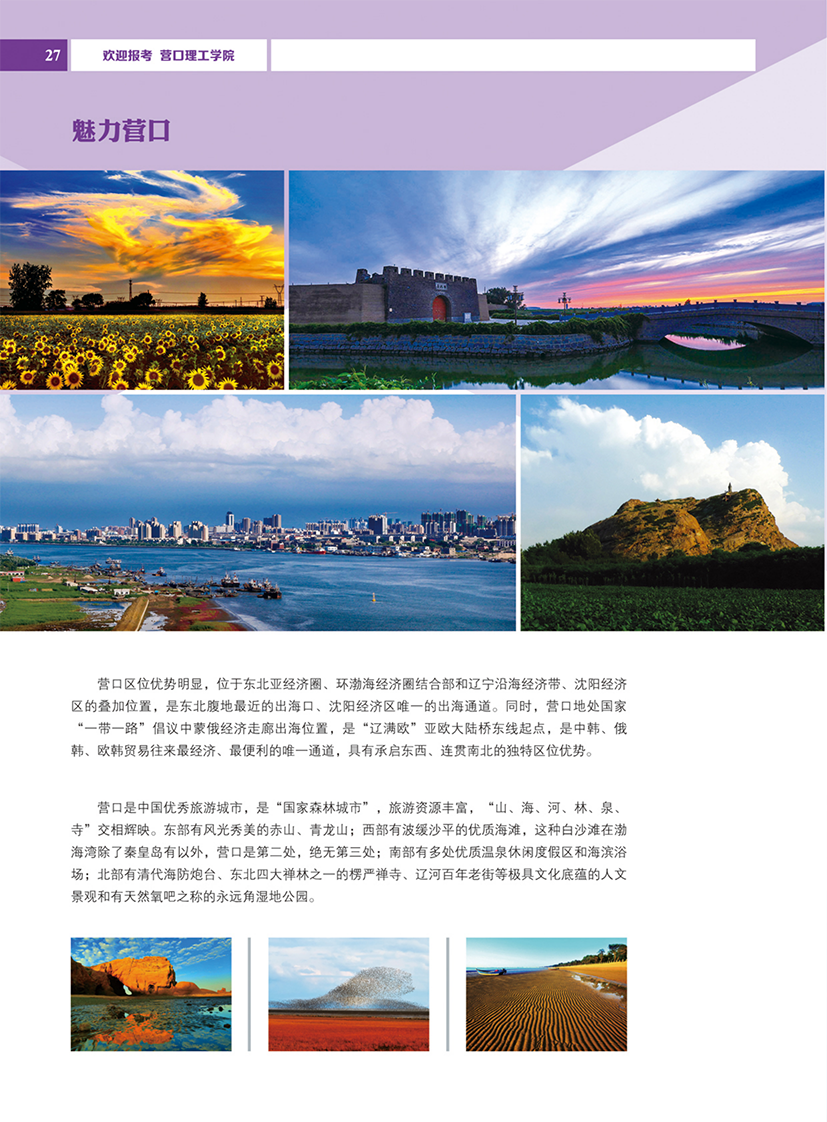 营口理工学院2024年招生简章