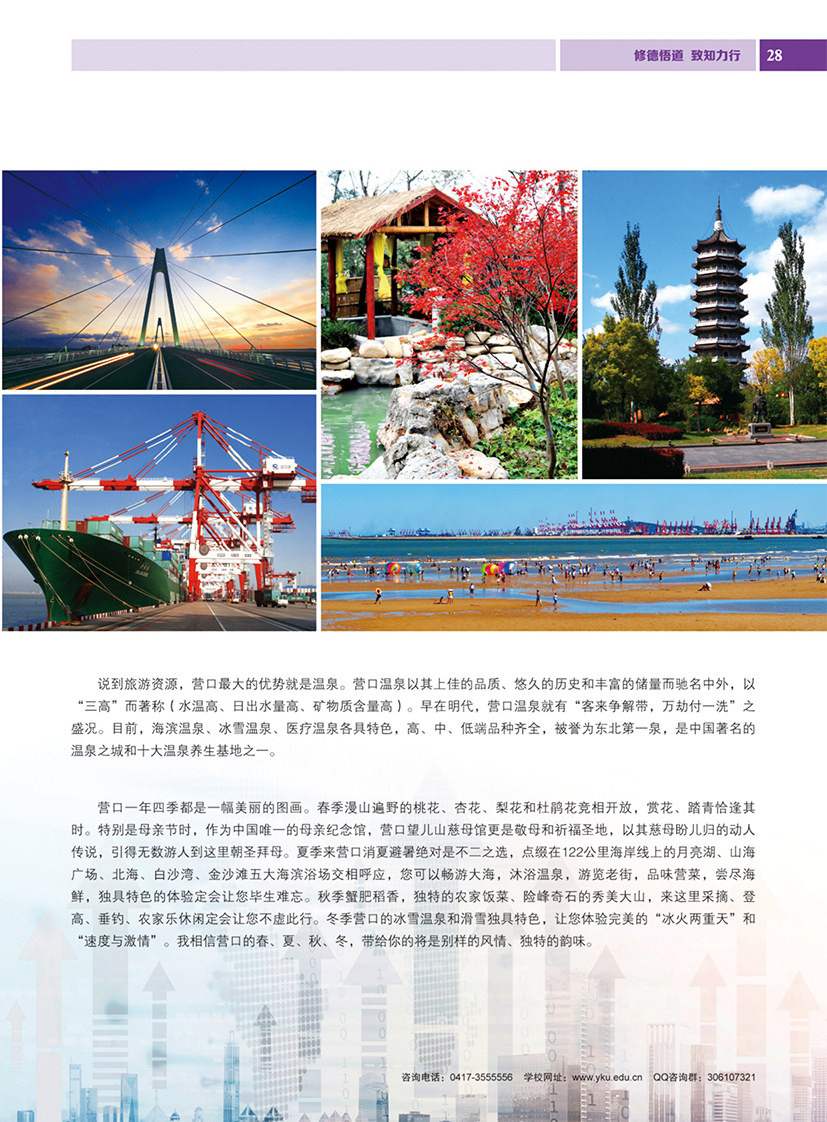 营口理工学院2024年招生简章
