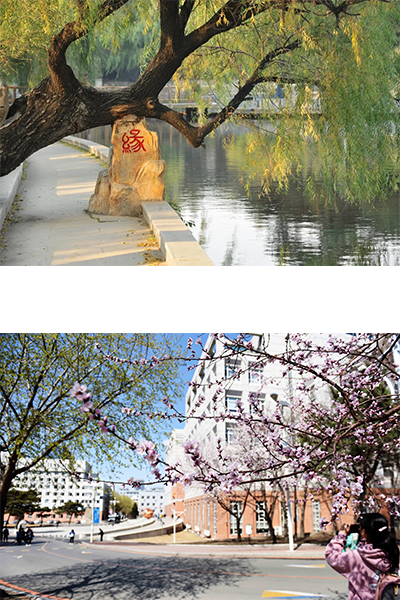 东北师范大学