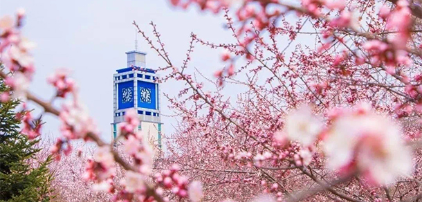吉林农业大学 - 最美大学