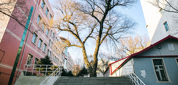 东北林业大学 - 最美大学