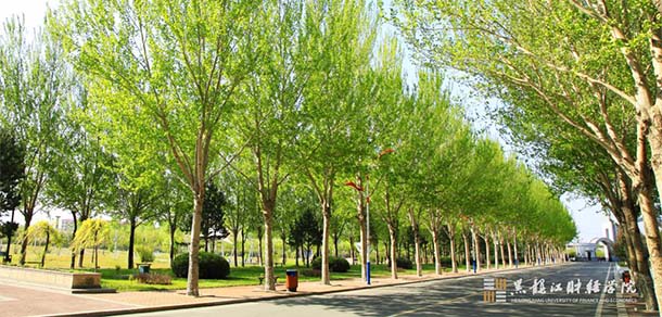 黑龙江财经学院 - 最美院校