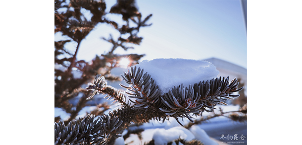 黑龙江工程学院昆仑旅游学院 - 最美大学